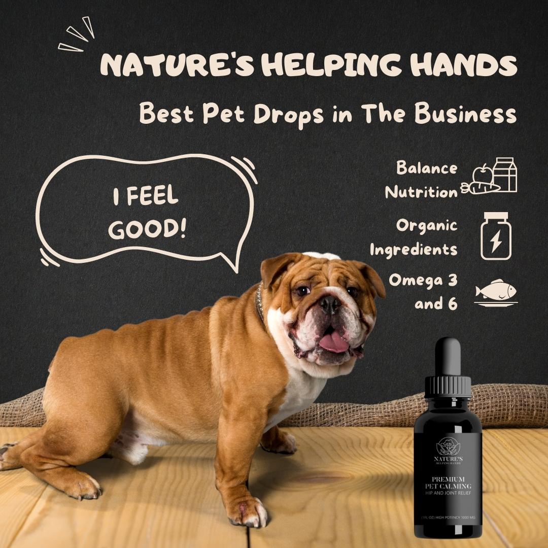 Nature’s Helping Hands Premium Hemp Oil for Pets – 1000mg max potency Cat and Dog Hip and Joint Supplement  – For Calming and Relieving Pain, Stress and Anxiety